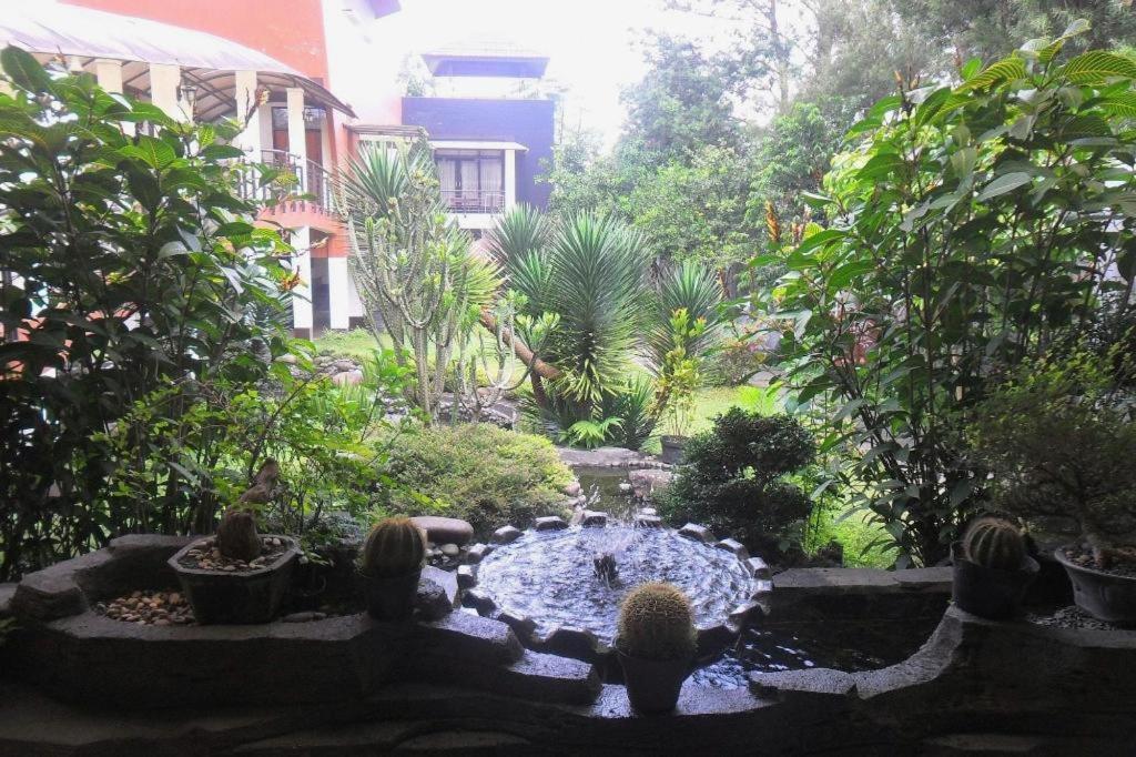 Villa Lemon Lembang Ngoại thất bức ảnh